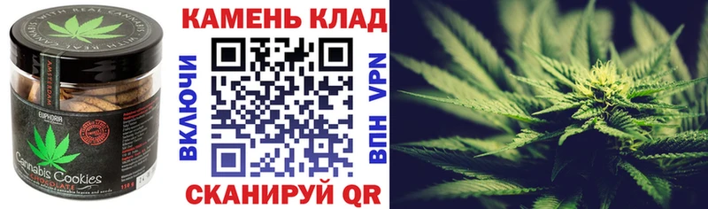 наркошоп  omg ссылки  Еда ТГК конопля  Кашира 