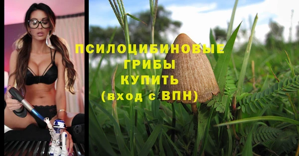 jwh Абаза