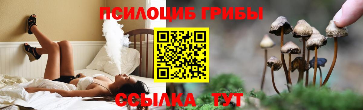Псилоцибиновые грибы GOLDEN TEACHER  Вход с VPN  наркота  Кашира 